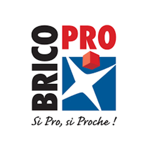 Logo Brico Pro