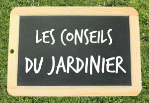 Conseils du jardinier